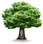 相关文章以粮油经营为主