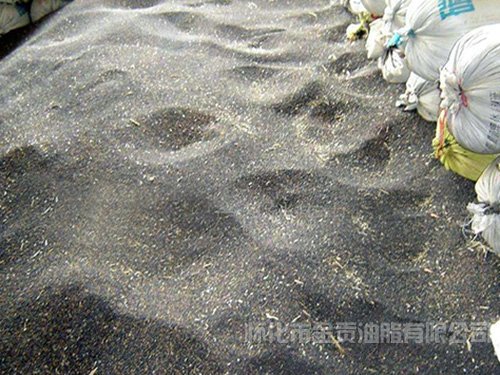 乐动平台网站登录入口手机版登录 联系