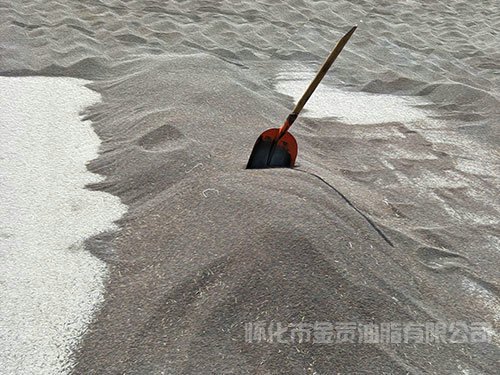 版权所有
