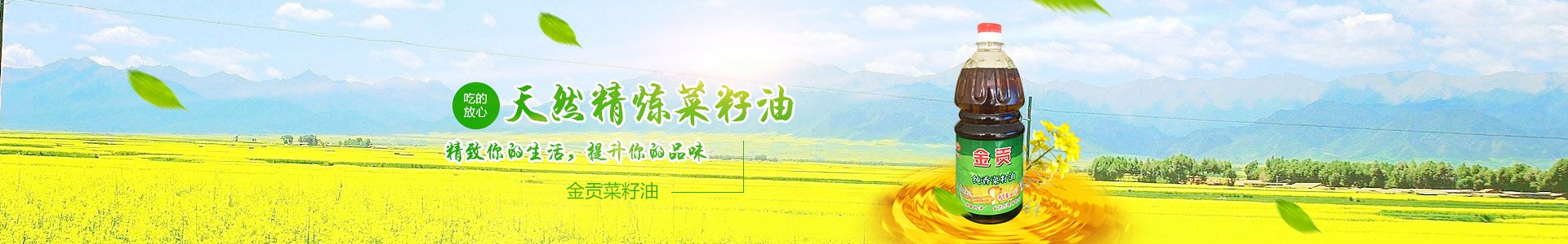 怀化食用植物油销售