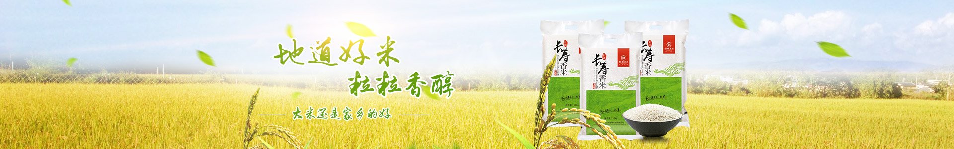怀化大米批发
